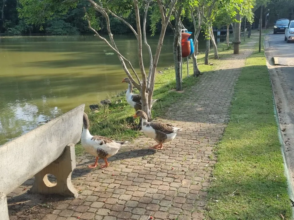 Loteamento e Condomínio, 450 m² - Foto 5