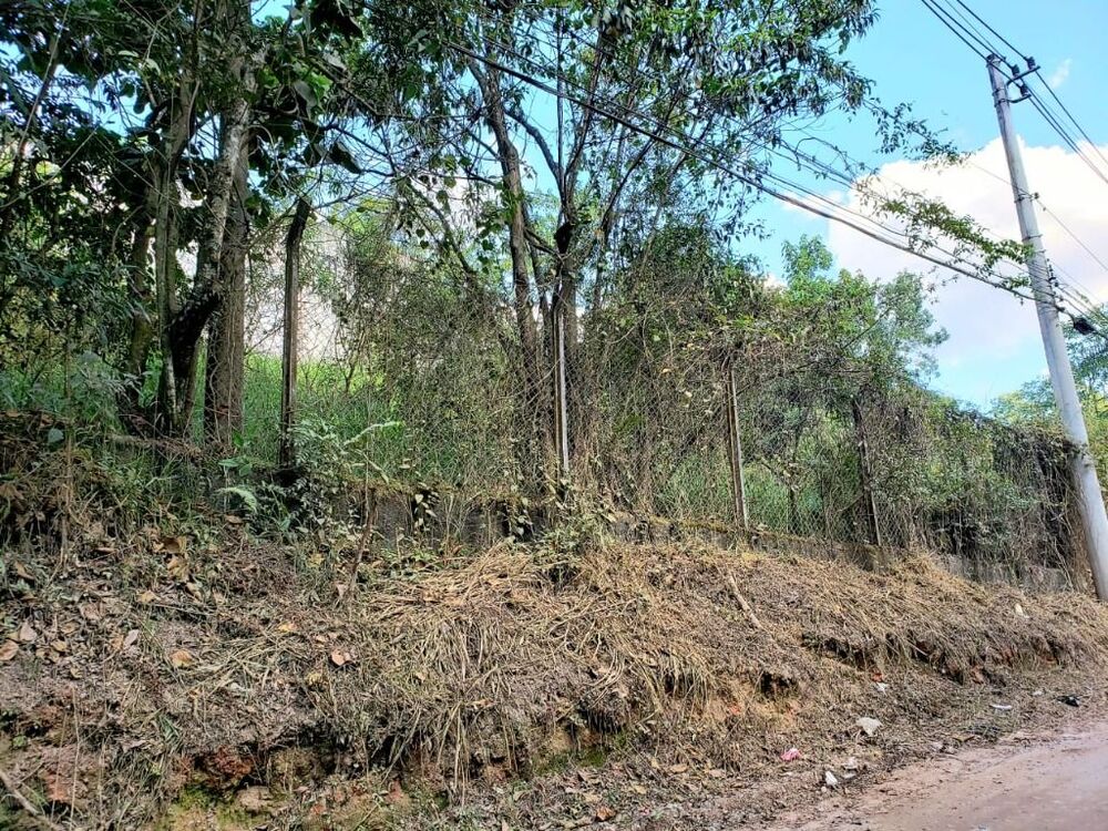 Terreno, 2 hectares - Foto 14