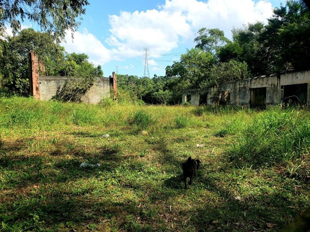 Terreno, 2 hectares - Foto 5