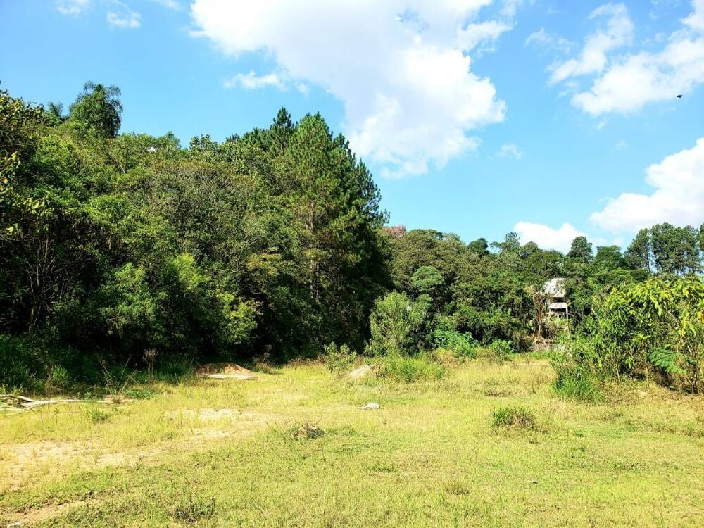 Terreno, 2 hectares - Foto 2