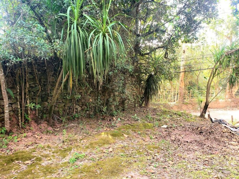 Terreno, 2 hectares - Foto 8
