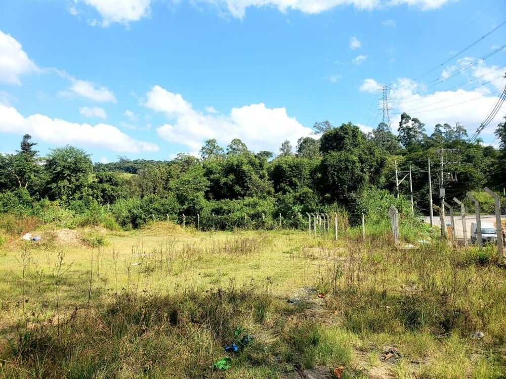 Terreno, 2 hectares - Foto 7