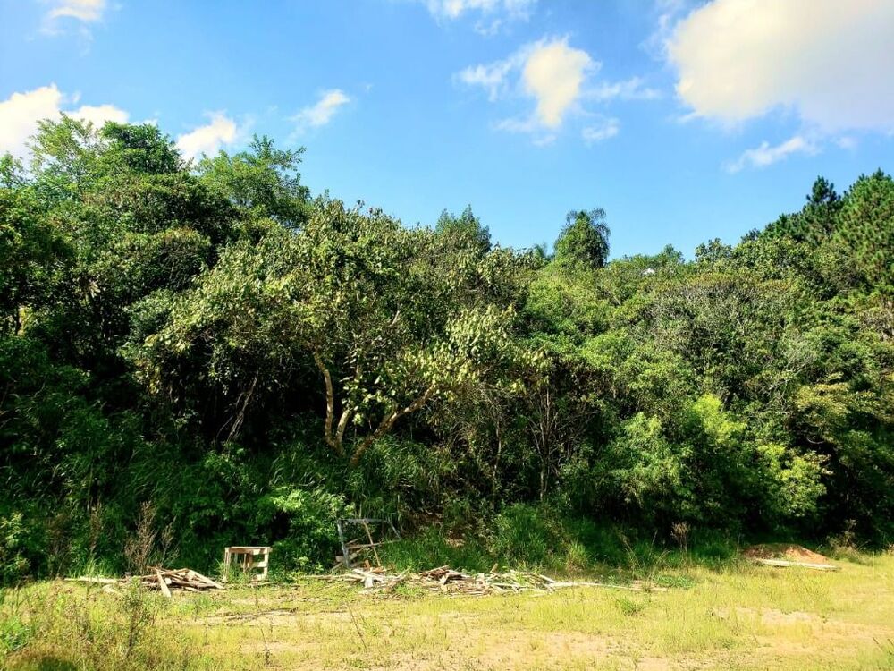 Terreno, 2 hectares - Foto 6