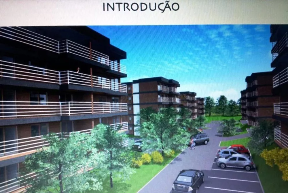 Terreno, 3 hectares - Foto 6