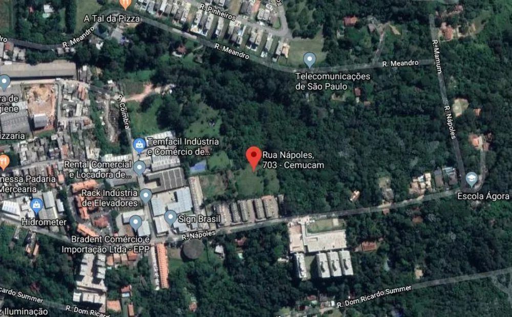 Terreno, 3 hectares - Foto 5