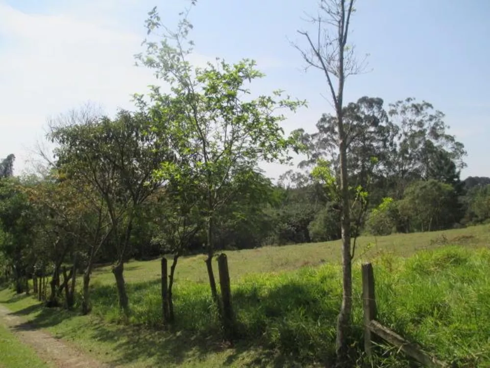 Terreno, 3 hectares - Foto 3