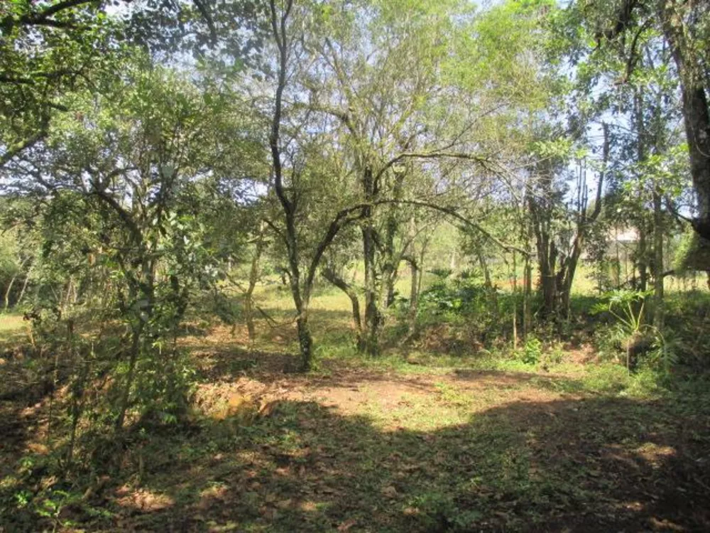 Terreno, 3 hectares - Foto 2