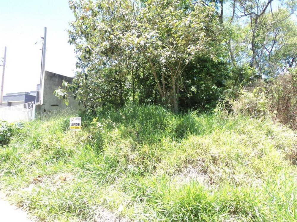 Terreno, 150 m² - Foto 4