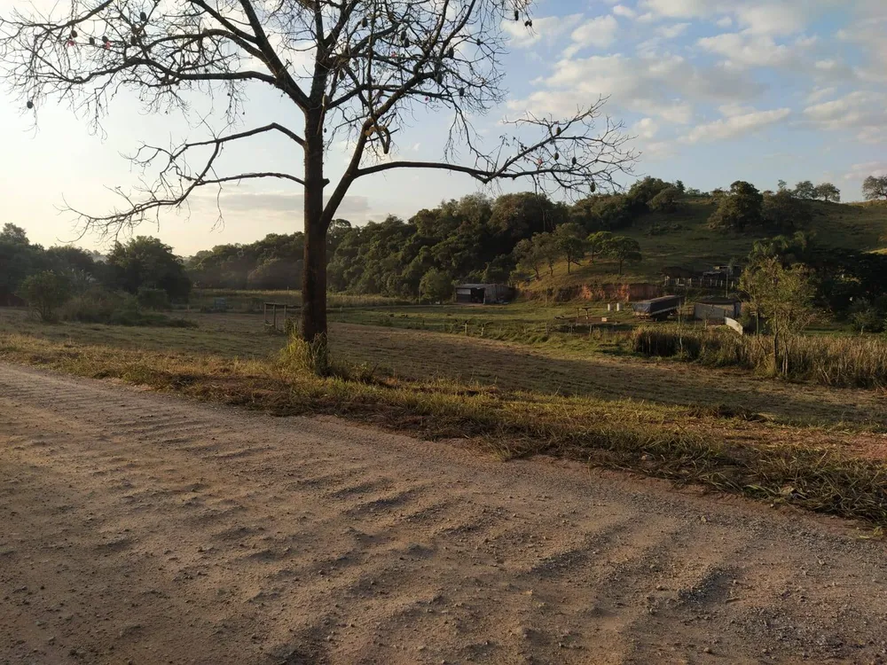 Terreno, 1300 m² - Foto 3