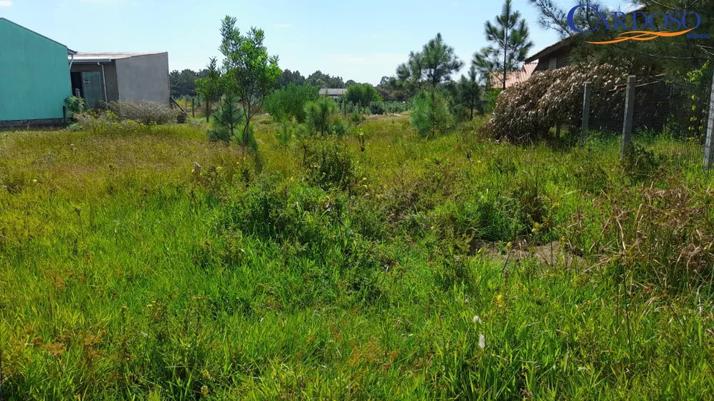 Terreno, 290 m² - Foto 1