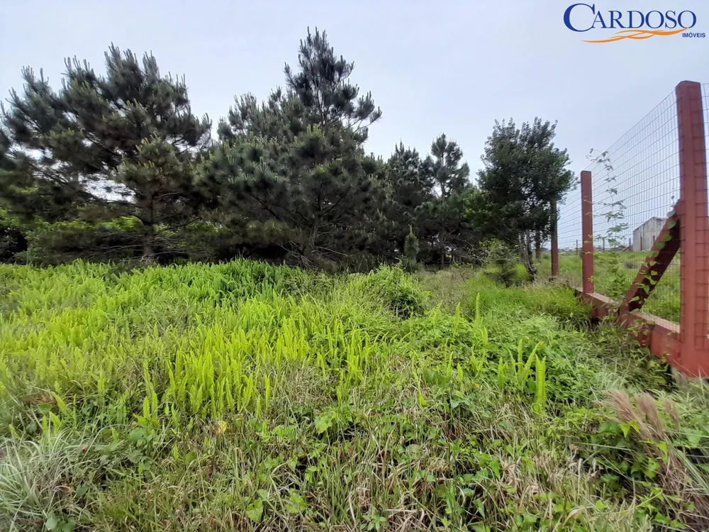 Terreno, 444 m² - Foto 1