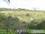 Fazenda, 80 hectares - Foto 4