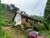 Fazenda, 176 hectares - Foto 3