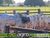 Fazenda, 20 hectares - Foto 4