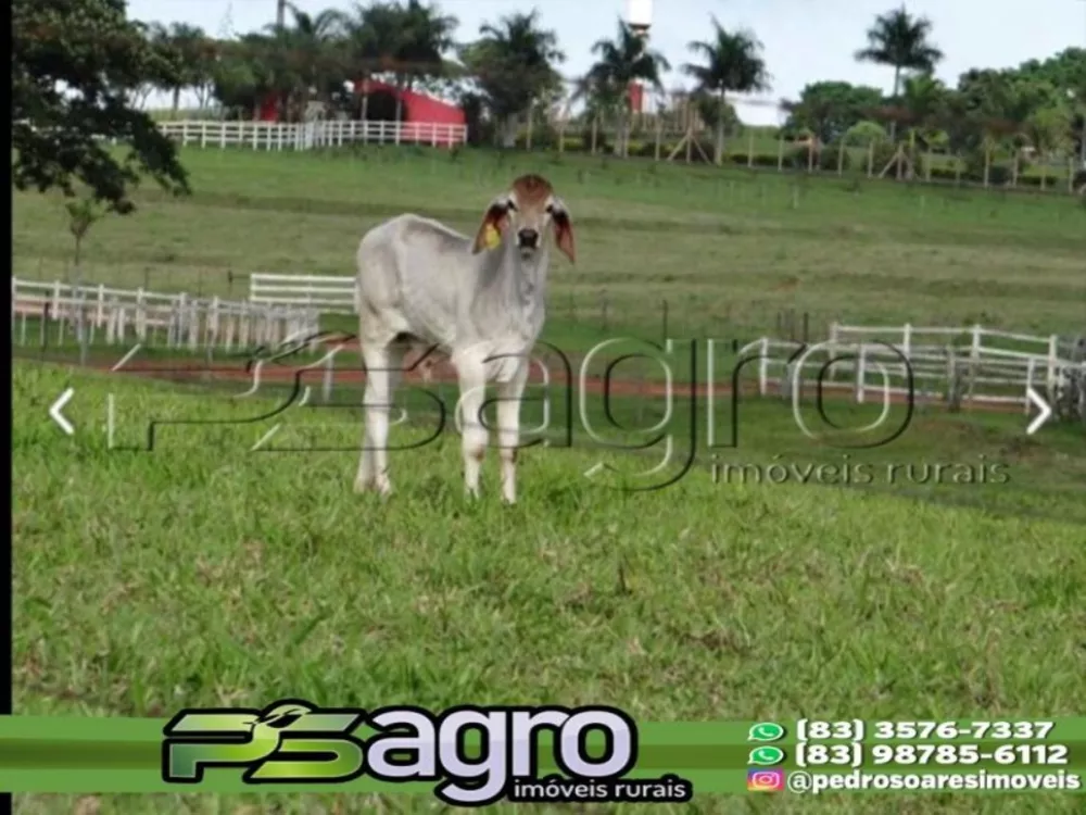 Fazenda à venda, 10200000m² - Foto 10