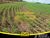 Fazenda, 57000 hectares - Foto 2