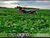 Fazenda, 38 hectares - Foto 3