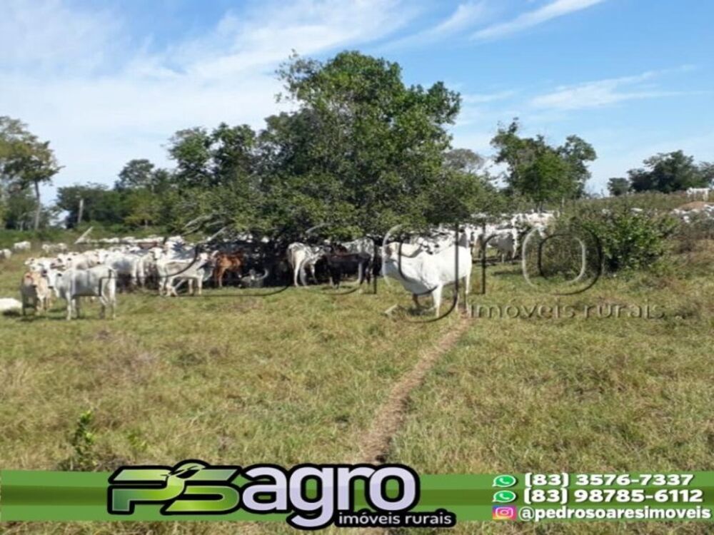 Fazenda à venda, 310000m² - Foto 3