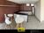 Flat/Apart Hotel, 1 quarto - Foto 5