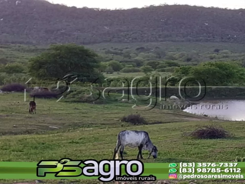 Fazenda à venda, 600000m² - Foto 4