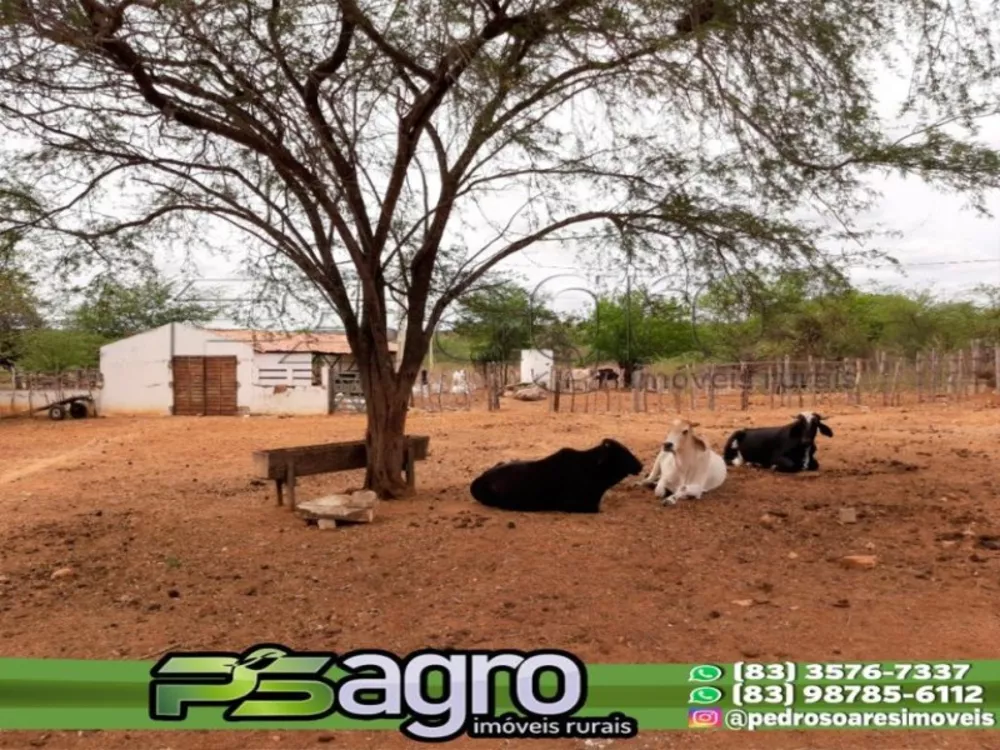 Fazenda à venda com 3 quartos, 1900000m² - Foto 1