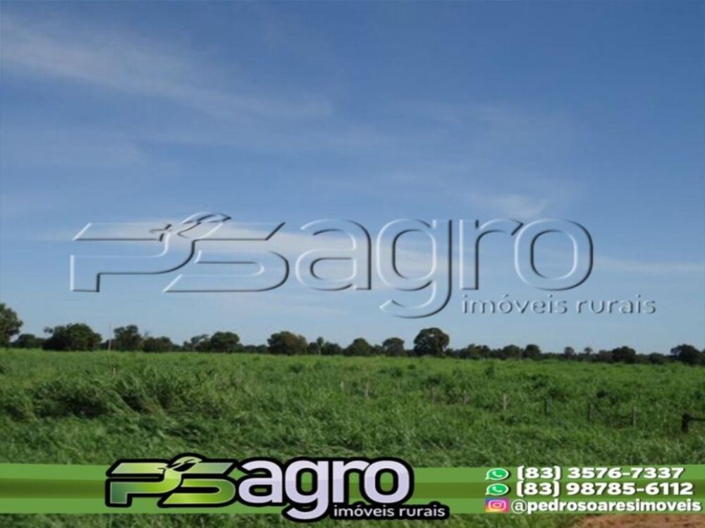 Fazenda à venda, 410000000m² - Foto 2