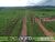 Fazenda, 41000 hectares - Foto 3