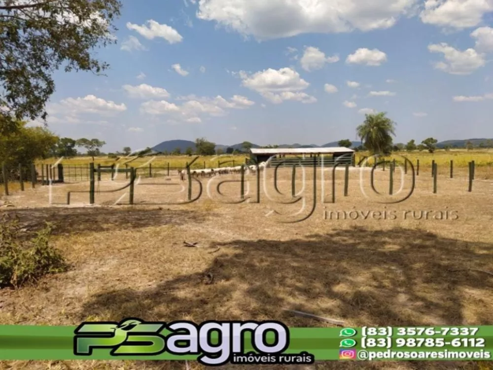 Fazenda à venda, 30000000m² - Foto 4