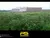 Terreno, 147 m² - Foto 2