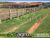 Fazenda, 828 hectares - Foto 1
