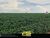 Fazenda, 8 hectares - Foto 1