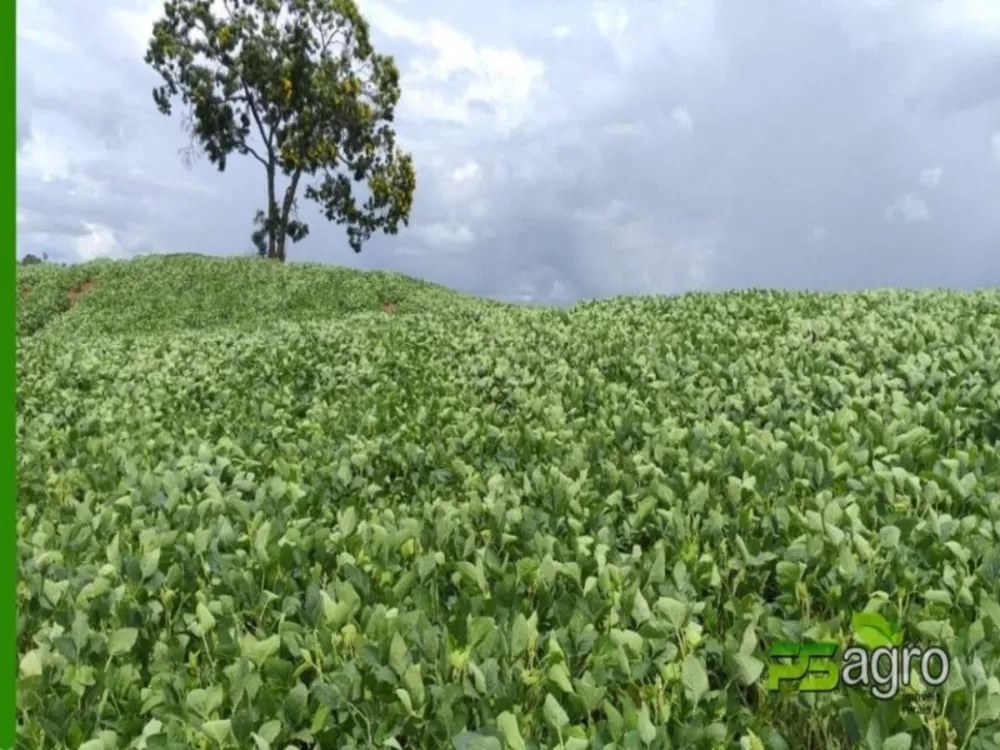 Fazenda à venda, 23595000m² - Foto 3