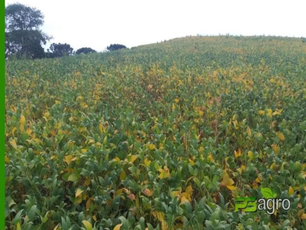 Fazenda à venda, 23595000m² - Foto 2