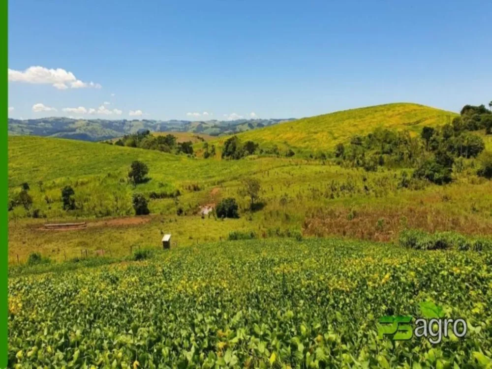 Fazenda à venda, 23595000m² - Foto 1