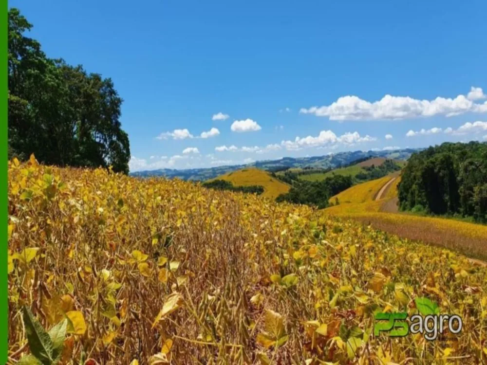 Fazenda à venda, 23595000m² - Foto 4