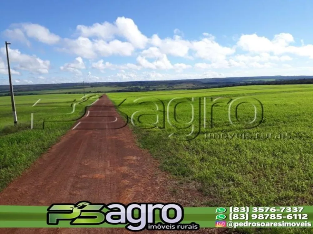 Fazenda à venda, 79820000m² - Foto 1