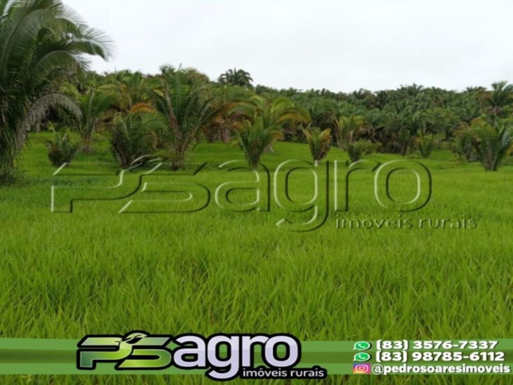 Fazenda à venda, 44044000m² - Foto 4