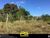 Terreno, 1100 m² - Foto 3