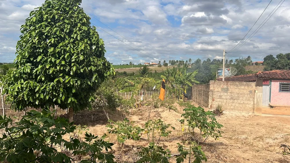 Fazenda à venda com 1 quarto, 5000m² - Foto 1