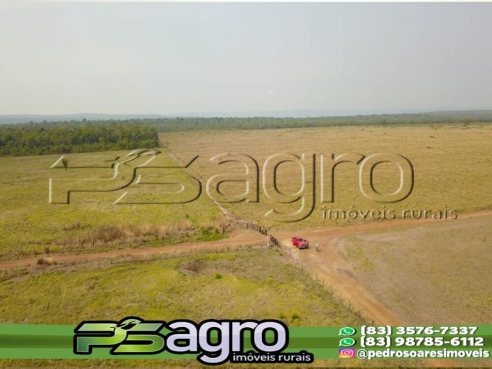 Fazenda à venda, 20040000m² - Foto 6