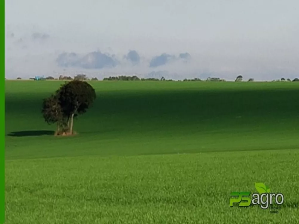 Fazenda à venda, 21780000m² - Foto 2