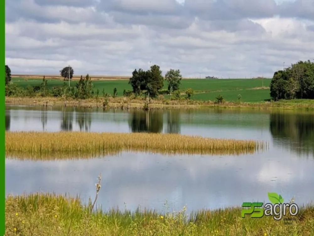 Fazenda à venda, 21780000m² - Foto 4