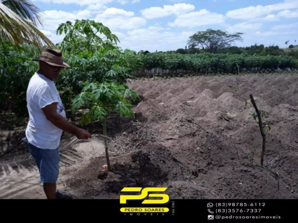 Fazenda à venda, 10000m² - Foto 4