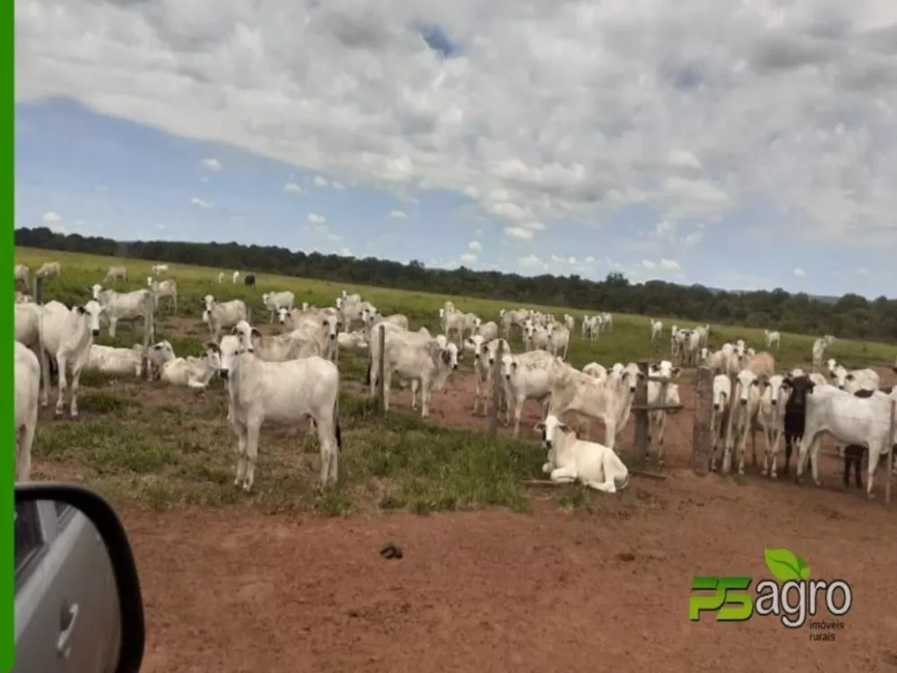 Fazenda à venda, 89000000m² - Foto 4