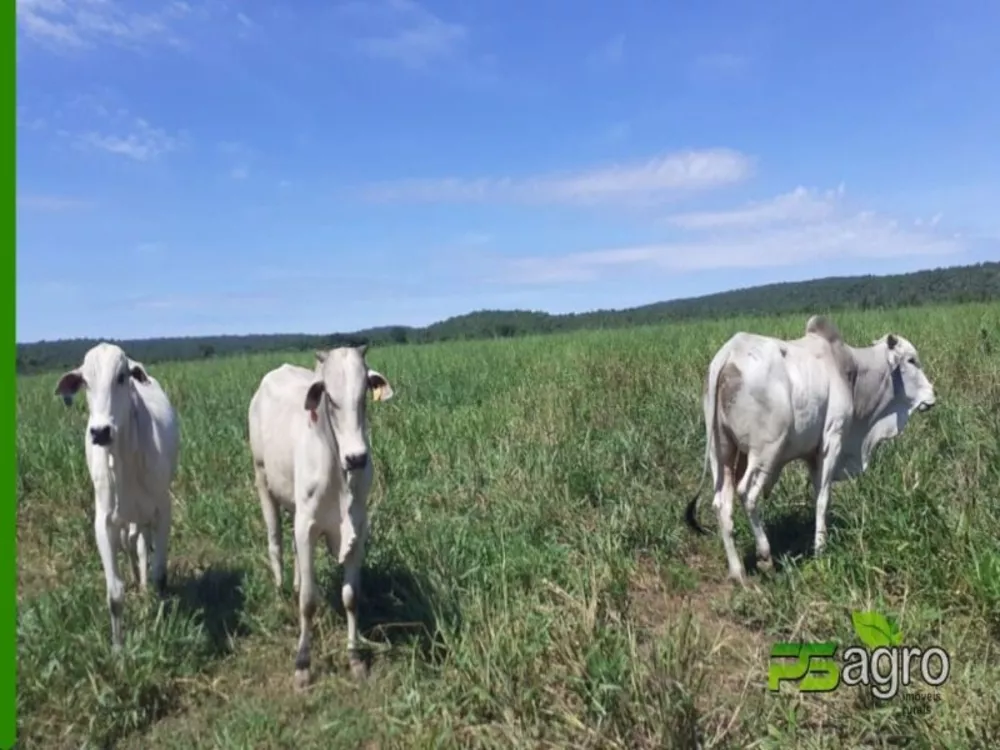 Fazenda à venda, 89000000m² - Foto 2