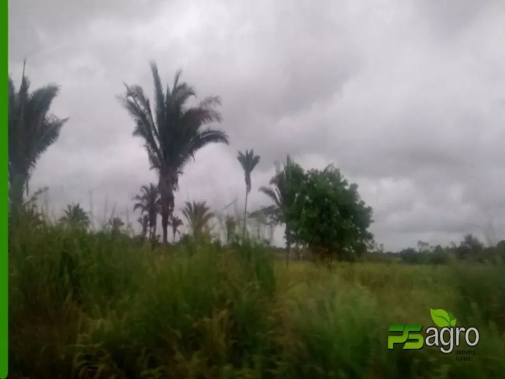 Fazenda à venda, 499610000m² - Foto 3