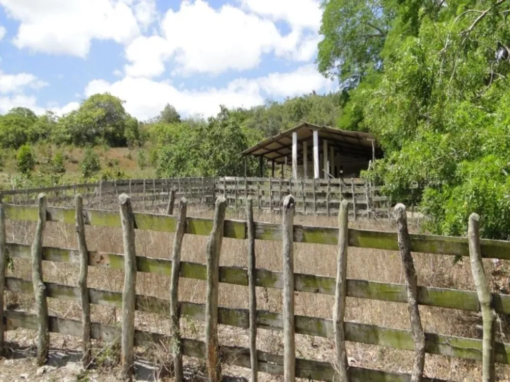 Fazenda à venda, 2700000m² - Foto 2