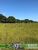 Fazenda, 144 hectares - Foto 4