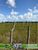 Fazenda, 144 hectares - Foto 1