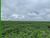 Fazenda, 4353 hectares - Foto 2